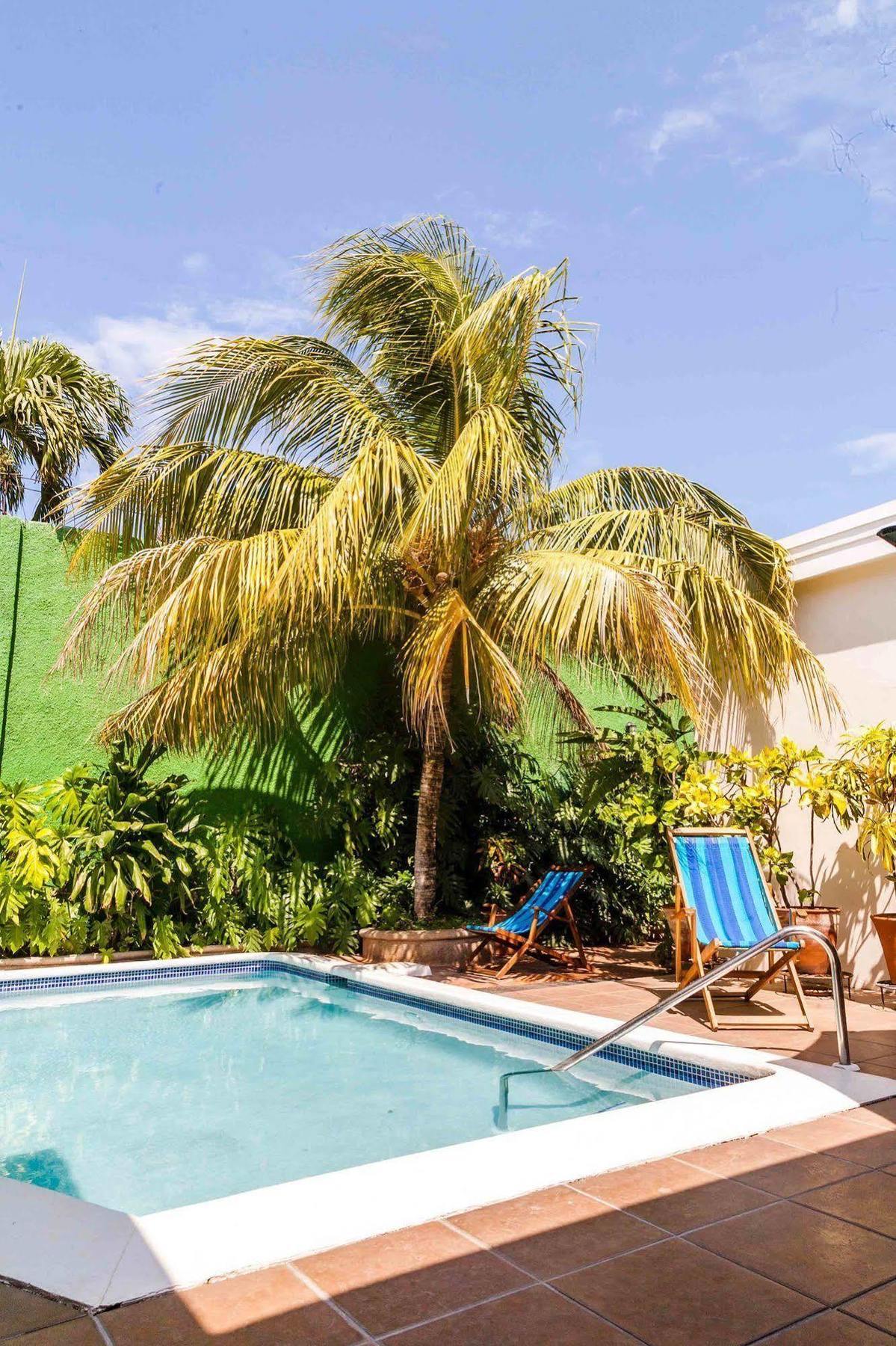 Hotel El Almendro Managua Kültér fotó